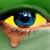 Helmut Lappe's profile image