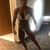 Andrea N Nick Conley's profile image