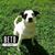 Dale Blackstock's profile image