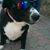 Cherie Seabolt's profile image