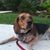Debra Kelsey's profile image