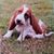 Barb Weber Maynor's profile image
