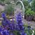 Terri Smith-Chavira's profile image