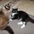 Marliese Kolbe's profile image