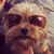Leah Romaneski's profile image