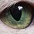 Karen Kirby's profile image
