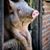 Hoang Duoc Su's profile image