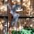 Stephanie Currier Foster's profile image