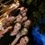 Betsy Moore Bareilles's profile image