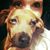 Sara Flynn's profile image
