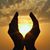 Jacqui Bonwell's profile image