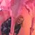 Raylene Younger's profile image