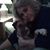 Suzanne Wages's profile image