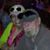 Valerie Flinn's profile image