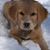 Robin Scott's profile image