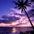 Suzette Talbott's profile image