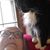 Faye Connors Derryberry's profile image
