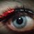 Stormy Mechelle Moore-Evans's profile image