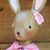 Michelle Lauritsen's profile image