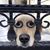 Becky Brinkerhoff's profile image