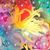 Amy King-Crandall's profile image