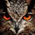 OwLz De Noche's profile image