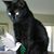 Giannina Cecilia's profile image