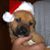Annie Jones's profile image