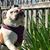 Terrie Schoonover's profile image