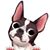 Kathleen Collins's profile image