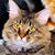Phillip Salzman's profile image