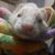 Susan M. Baker's profile image