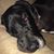 Larry Echols's profile image