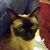 Kit Cabaniss Macy's profile image