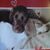 Melody Olin Nanzer's profile image