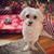 Jillian Johnson's profile image