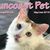 Candace Botha's profile image