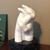 Lisa Papoutsakis's profile image