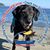 Cera Reusser's profile image