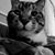 Dawn Weber's profile image