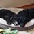 Cathy Casey Martinson's profile image