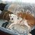 Darlene Wood's profile image