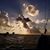 Rose Flatt's profile image