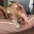 Kellie Arbuckle Wilford's profile image