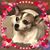 Cindy Croshaw's profile image