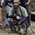 Roy Murphy's profile image