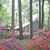 Sarah Marie Marlow's profile image