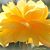 Kathy Watson Hayes's profile image