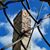 Jamie Chisholm's profile image