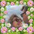 Kathy Dolbee Weeks's profile image